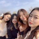에드에이치