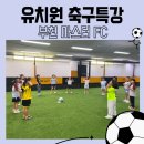 지혜샘유치원 이미지