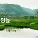 정양늪생태학습관 이미지