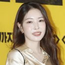 보아 카카오 검색결과
