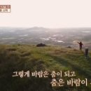 애월한담 민박 이미지