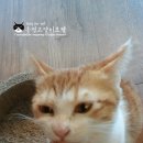 루루호텔 이미지