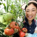 강금자농장 이미지