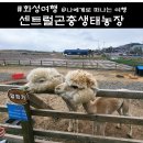 경기농장 | 센트럴곤충생태농장 실내 경기 동물원 체험 후기