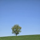 갈곡농장 이미지