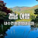 내수면환경생태공원주차장 | 진해 내수면환경생태공원 부산 근교 드라이브 나들이 가볼만한곳