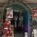 Y-0121 | [청주] 성안길 카페 와이로그 디저트 맛집 추천과 솔직후기