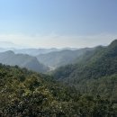 코스포덤 이미지