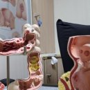 연세항정외과의원 이미지