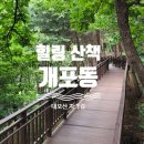 광평로10길(대모산1로) 이미지