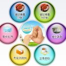 한결식품 이미지