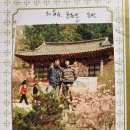 - 46년전 이맘때쯤인 1980년 4월 중순, 용문산(1,157m) 산행일지!/ 1995년 3월초, 용문산. 이미지