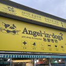 엔젤펫애견샵 이미지