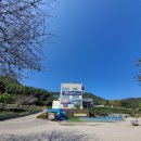 태안별빛오토캠핑장 | 전남 장흥 별빛밤바다 오토캠핑장 후기요~