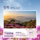 황매산 이미지