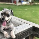 망와고택 이미지