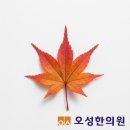 오성한의원 이미지