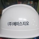 (주)에이스지오