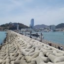 오동도 바람골 이미지