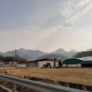 금산1리마을회관 이미지