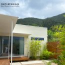 인더모은 이미지