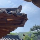 감동농장 이미지