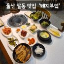 동평중학교 | [맛집] 울산 달동 맛집 수제 돼지갈비 들기름막국수 맛집 '돼지부엌 울산달동본점' 솔직후기 (: