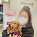 위브동물의료센터 이미지