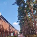 체육공원로399번길 이미지