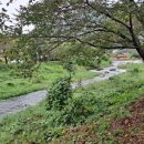 다문1리 이미지