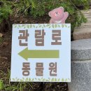 유원사슴농장 | [일상 로그 겸 리뷰]세종 베어트리파크 소풍