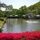 숲속그린펜션 이미지