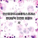 신길119안전센터 앞 | 안산포장이사세종익스프레스 한대앞역 안전한 포장이사
