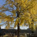 스테이 마중 이미지