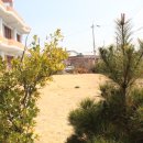 고성버드리민박 이미지