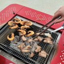 테하스랜드 | [논산여행/아기랑갈만한곳]논산 주노글램핑 테하스랜드 카라반 캠핑후기🚐