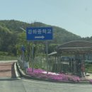 강하중학교 이미지