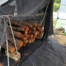 김영수농장 이미지