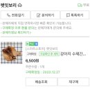 펫잇보리 이미지