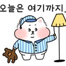 슈블리펫살롱 이미지
