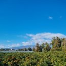 씨엔에스환경(주) | 세미파이브 공모주 상장 매도 후기(수익 29만원 시현), 25년 공모주 투자 총 수익금액은?