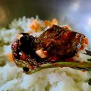 삼호가든민박 이미지