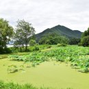 마현농장 이미지