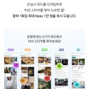 콘텐츠 보고 네이버페이 랜덤포인트 즉시 적립(~11/05일까지) 이미지