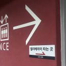 미라클 동물병원 | 인천 지방분해주사 2회차 솔직하게 풀어요 (생리기간 ver)