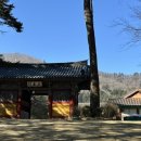 대관령 요들레이펜션 이미지