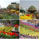 밤동산어린이공원 이미지