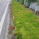 외칠1리 이미지