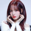 리즈컬러 이미지