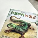 뉴월드시스템 | 전략 보드게임 종의 기원 에볼루션 뉴월드 나비효과 확장 후기